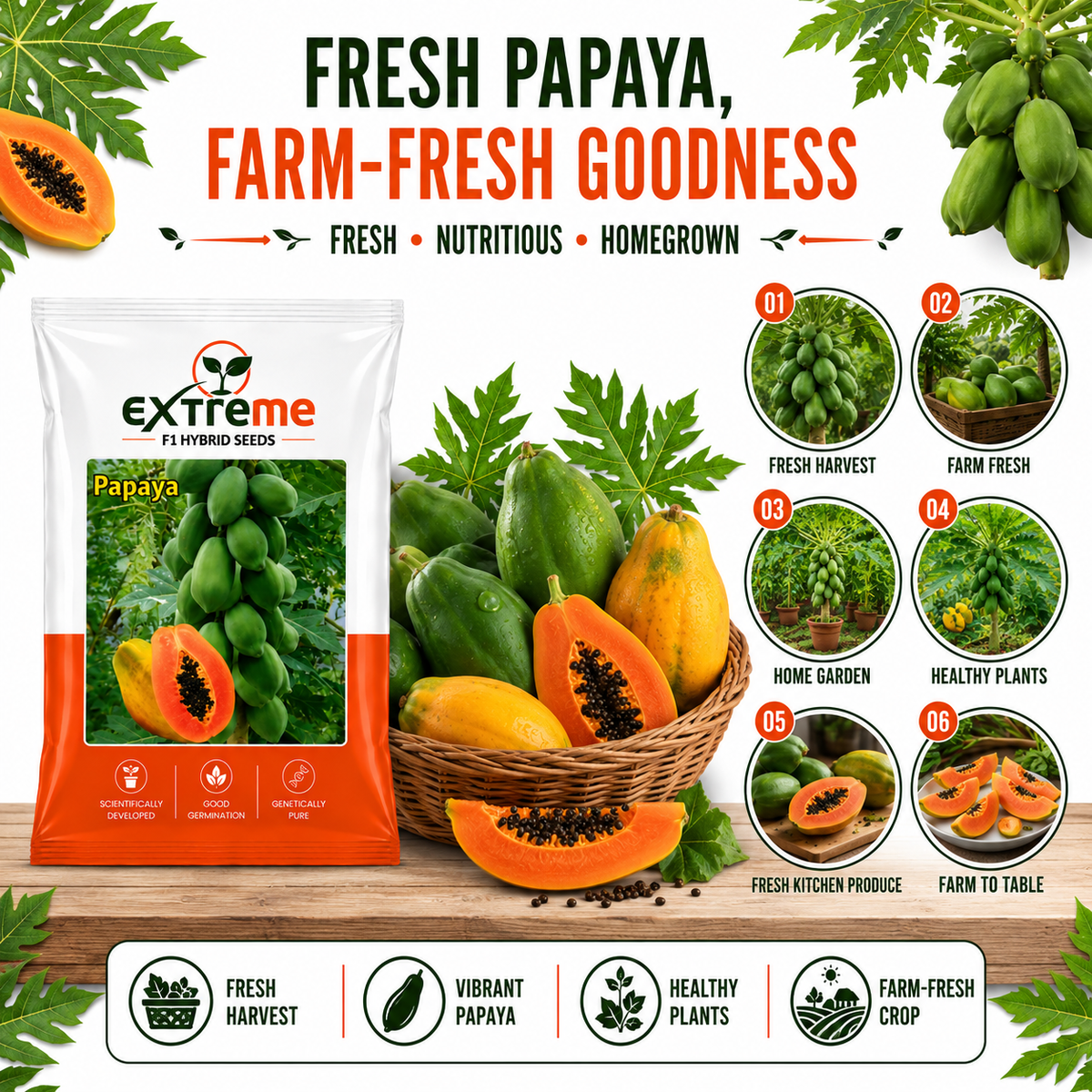EXTREME F1 Hybrid Papaya Seeds for Home Garden, Kitchen Garden, Terrace Garden & Outdoor Growing | Premium Papaya for Fresh Fruit Cultivation | Pack of 10 Seeds