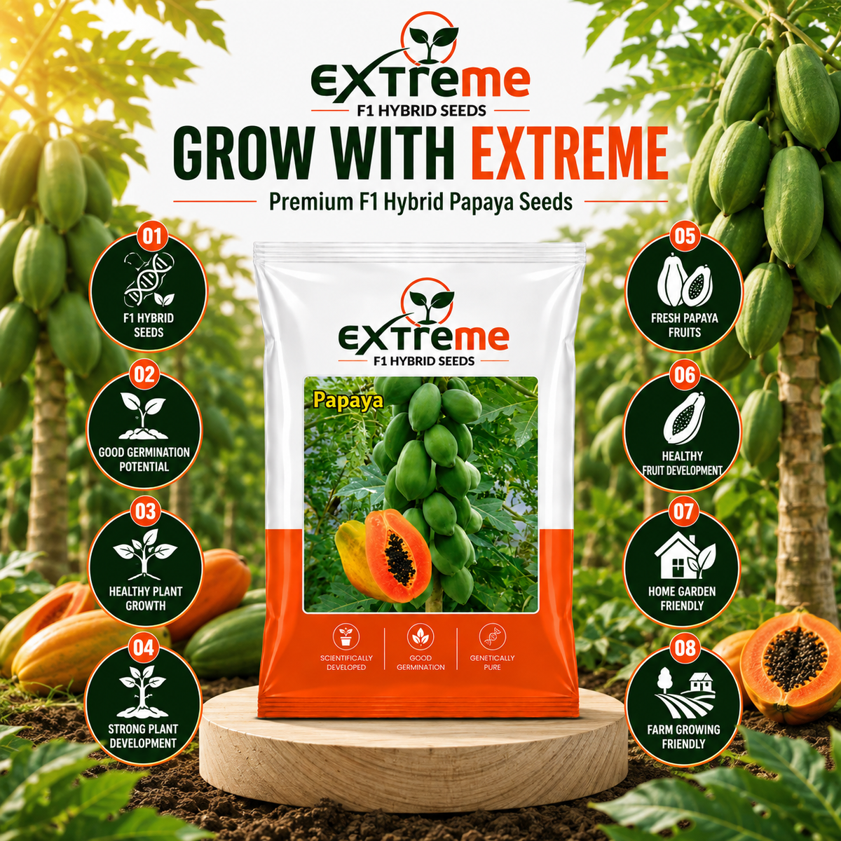 EXTREME F1 Hybrid Papaya Seeds for Home Garden, Kitchen Garden, Terrace Garden & Outdoor Growing | Premium Papaya for Fresh Fruit Cultivation | Pack of 10 Seeds