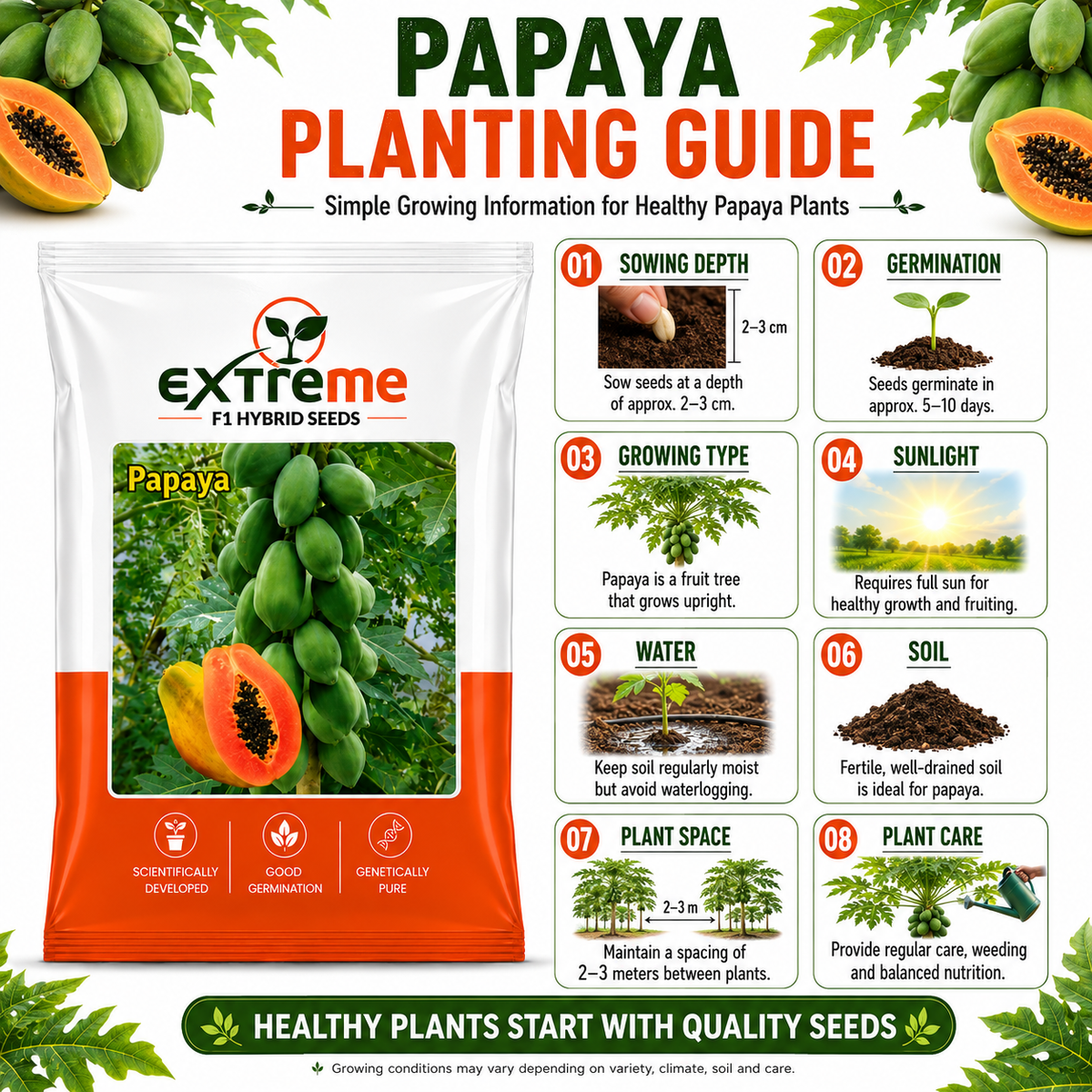 EXTREME F1 Hybrid Papaya Seeds for Home Garden, Kitchen Garden, Terrace Garden & Outdoor Growing | Premium Papaya for Fresh Fruit Cultivation | Pack of 10 Seeds
