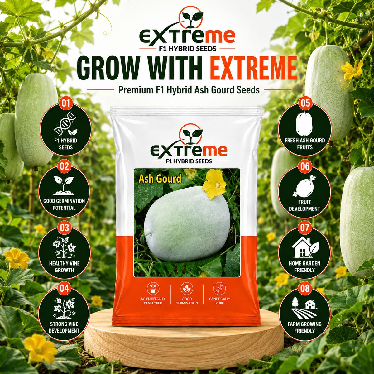 Extreme F1 Hybrid Ash Gourd Seeds 5 GM | Petha, Safed Petha & Winter Melon Seeds | Vegetable Seeds for Home, Kitchen & Terrace Garden | Outdoor Gardening