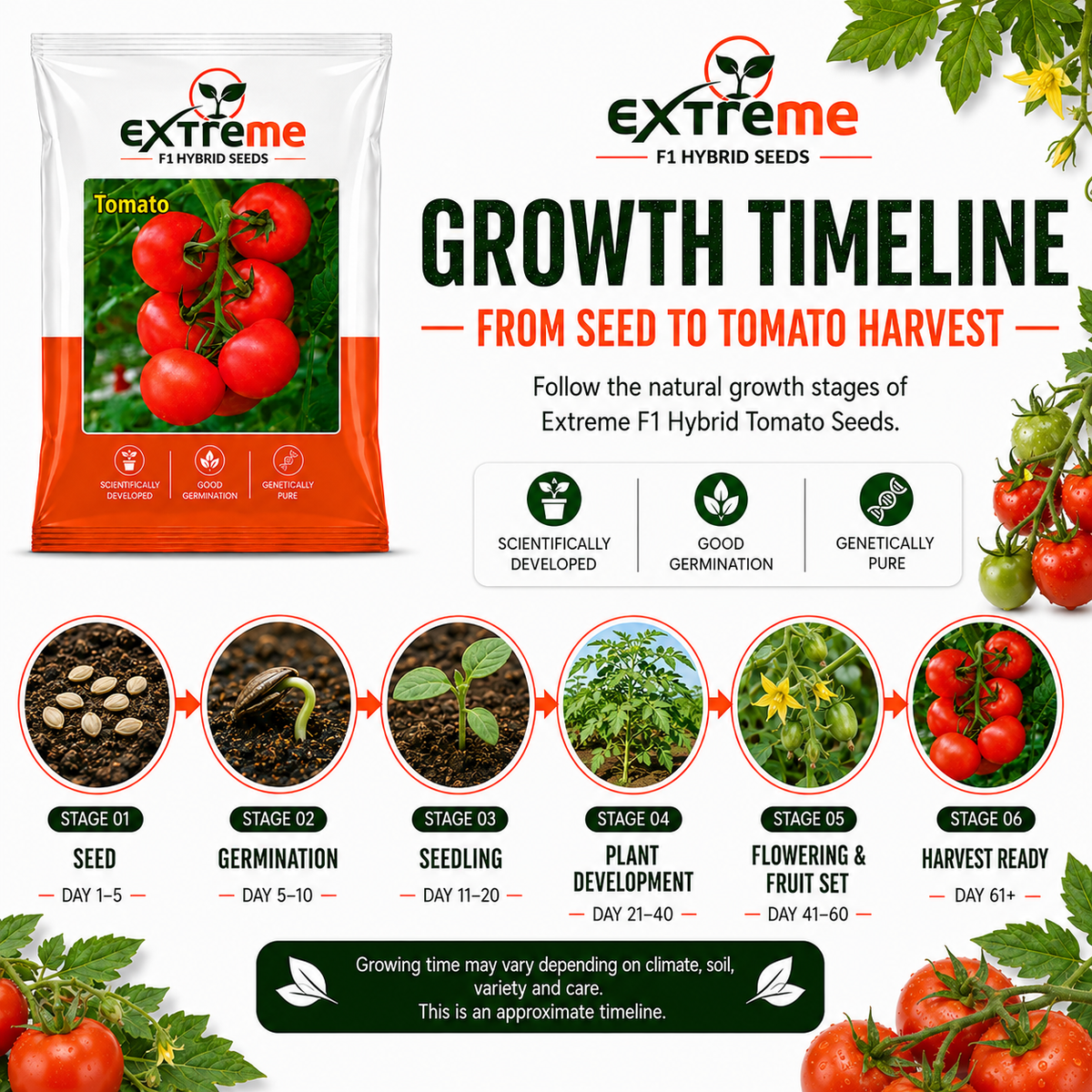 EXTREME F1 Hybrid Tomato Seeds for Home Garden, Kitchen Garden, Terrace Garden & Outdoor Growing | Premium Red Tomato Vegetable Seeds for Fresh Home Cultivation | 1 GM Pack