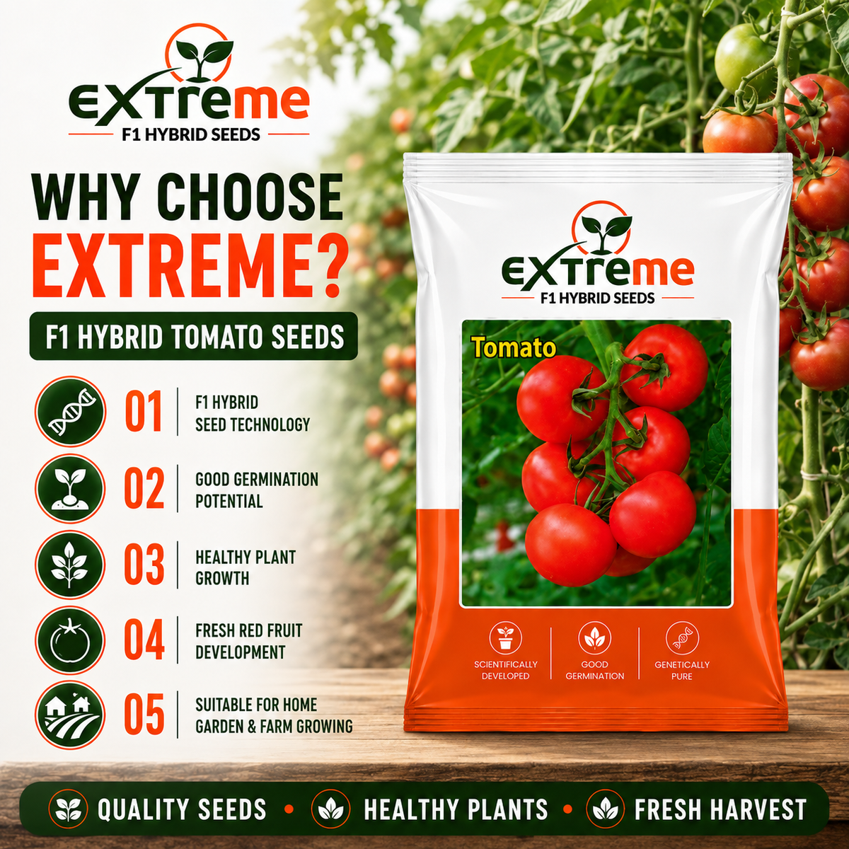 EXTREME F1 Hybrid Tomato Seeds for Home Garden, Kitchen Garden, Terrace Garden & Outdoor Growing | Premium Red Tomato Vegetable Seeds for Fresh Home Cultivation | 1 GM Pack