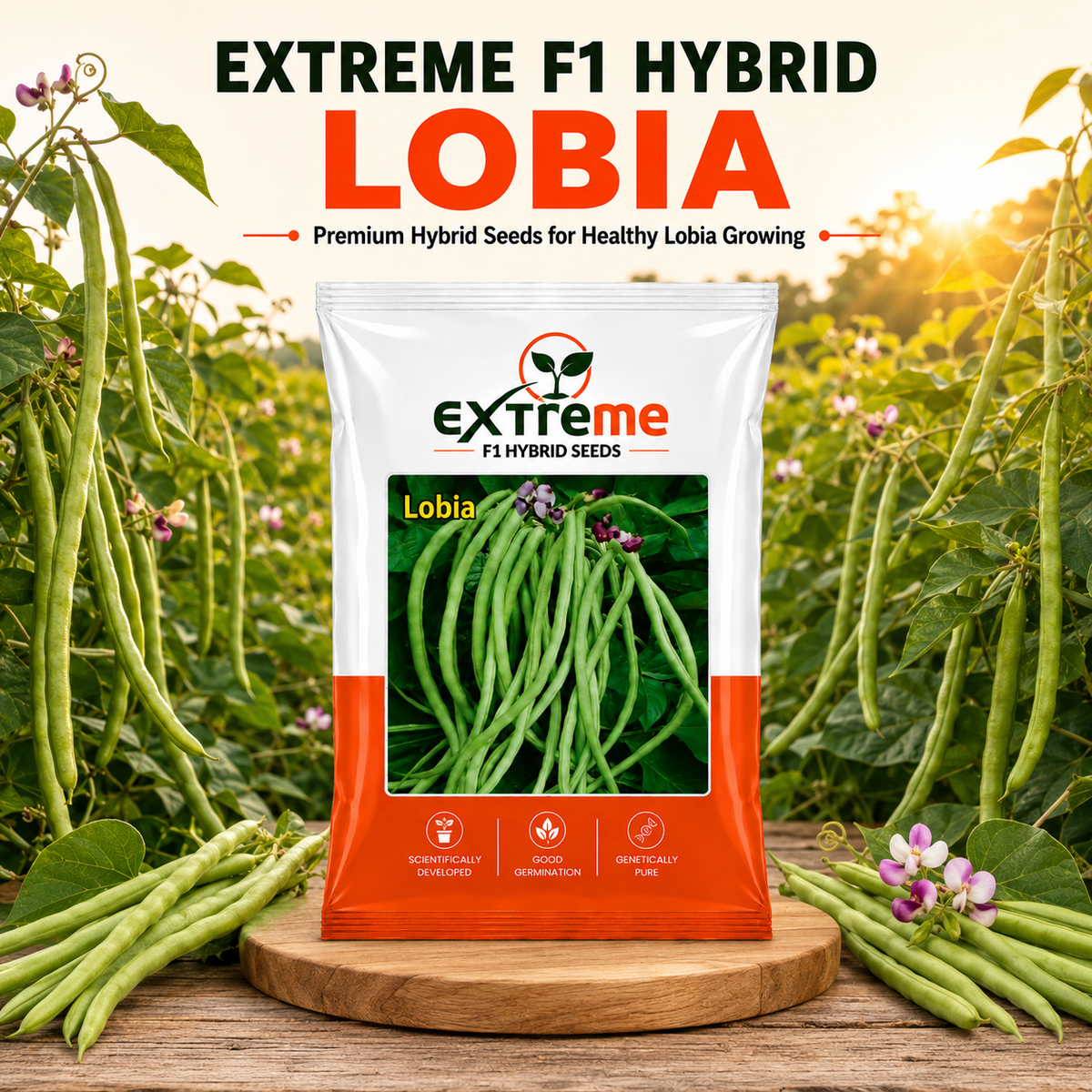Extreme F1 Hybrid Lobia Seeds 20 GM | Premium Long Green Cowpea Vegetable Seeds | Lobia Seeds for Home Garden, Kitchen Garden, Terrace Garden, Pots, Grow Bags & Outdoor Farming