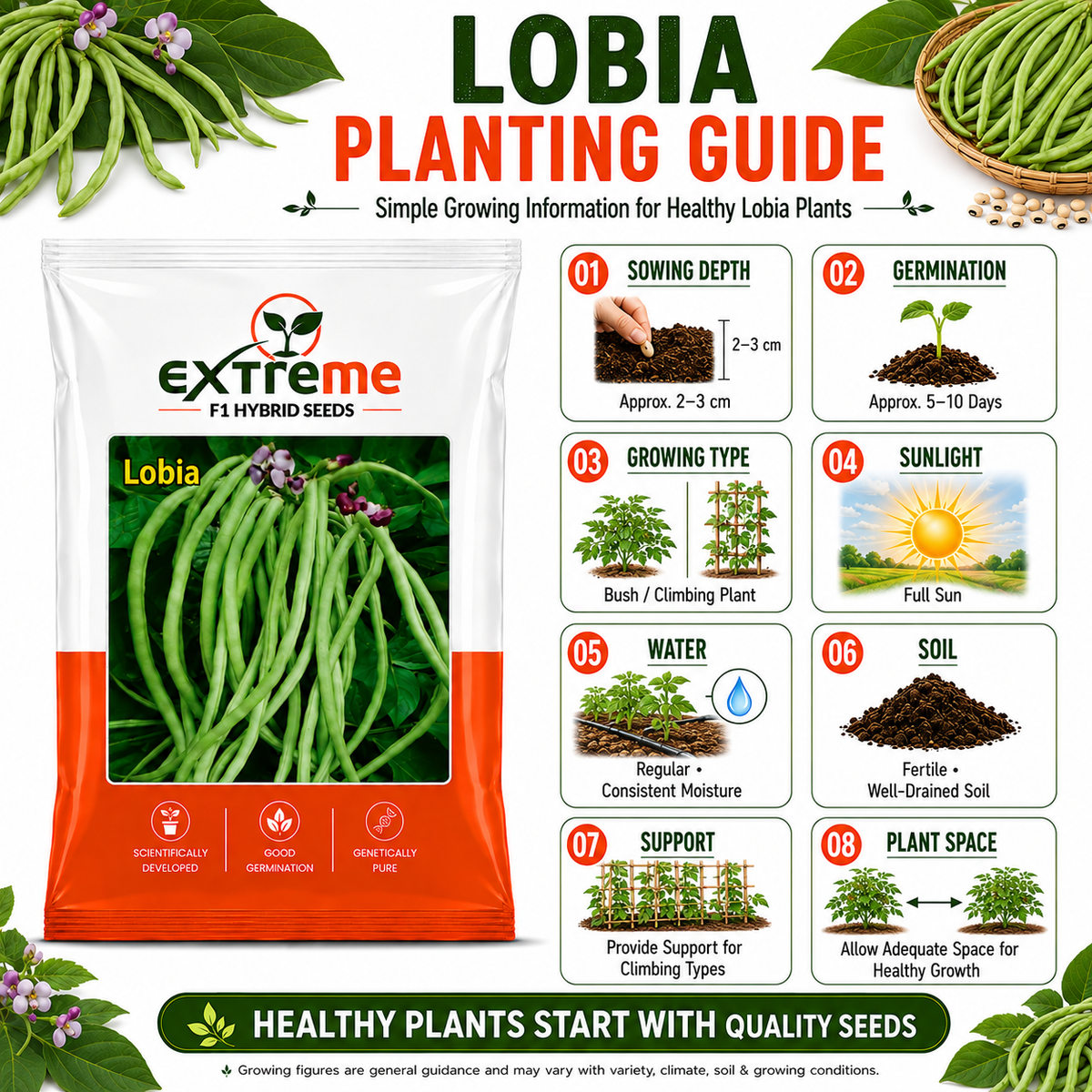 Extreme F1 Hybrid Lobia Seeds 20 GM | Premium Long Green Cowpea Vegetable Seeds | Lobia Seeds for Home Garden, Kitchen Garden, Terrace Garden, Pots, Grow Bags & Outdoor Farming