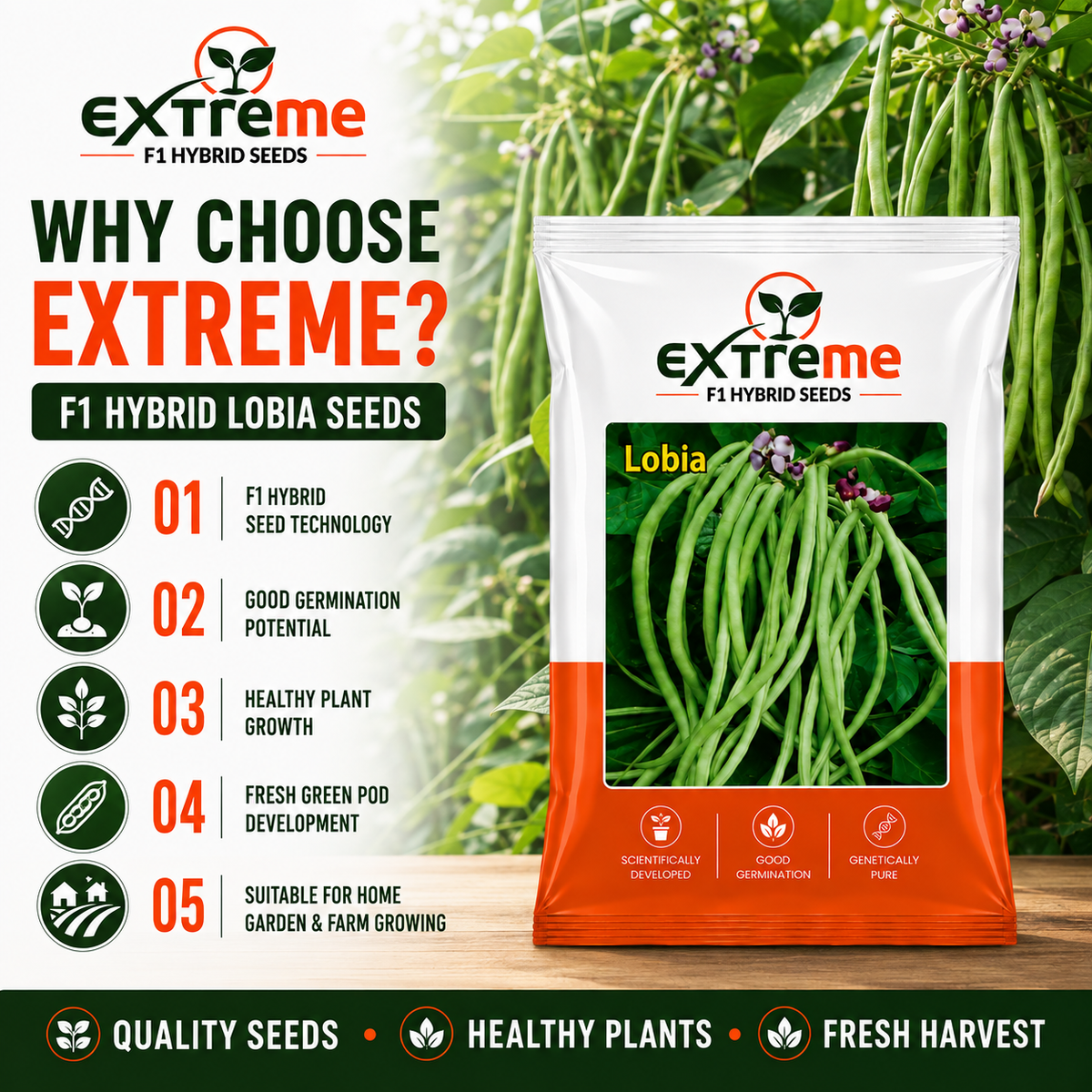 Extreme F1 Hybrid Lobia Seeds 20 GM | Premium Long Green Cowpea Vegetable Seeds | Lobia Seeds for Home Garden, Kitchen Garden, Terrace Garden, Pots, Grow Bags & Outdoor Farming