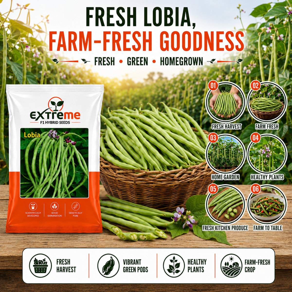 Extreme F1 Hybrid Lobia Seeds 20 GM | Premium Long Green Cowpea Vegetable Seeds | Lobia Seeds for Home Garden, Kitchen Garden, Terrace Garden, Pots, Grow Bags & Outdoor Farming