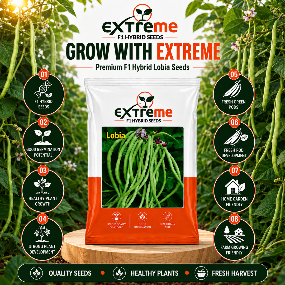Extreme F1 Hybrid Lobia Seeds 20 GM | Premium Long Green Cowpea Vegetable Seeds | Lobia Seeds for Home Garden, Kitchen Garden, Terrace Garden, Pots, Grow Bags & Outdoor Farming
