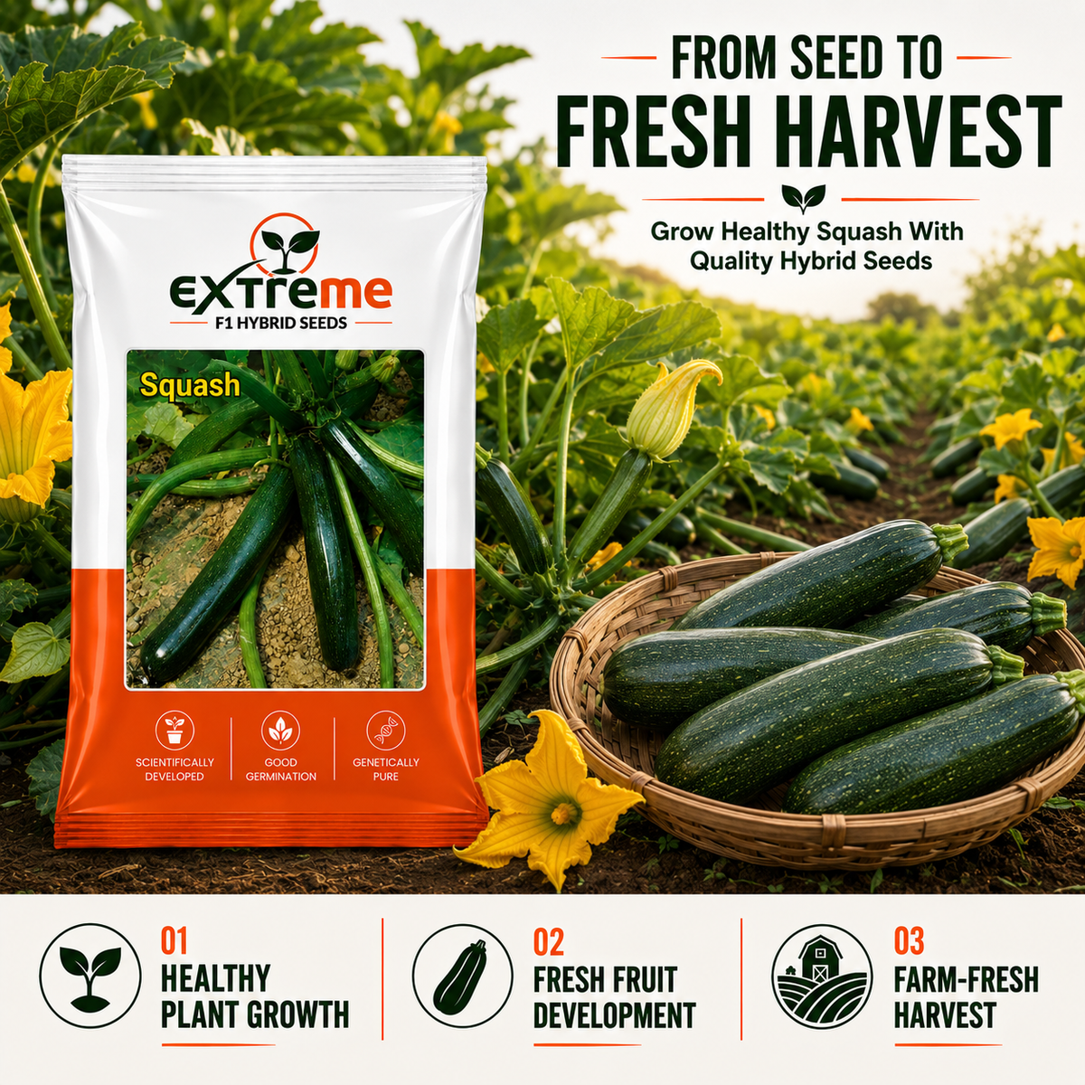 EXTREME F1 Hybrid Zucchini Seeds for Home Garden, Kitchen Garden, Terrace Garden & Outdoor Growing | Premium Zucchini Seeds for Fresh Vegetable Cultivation | 5 GM Pack