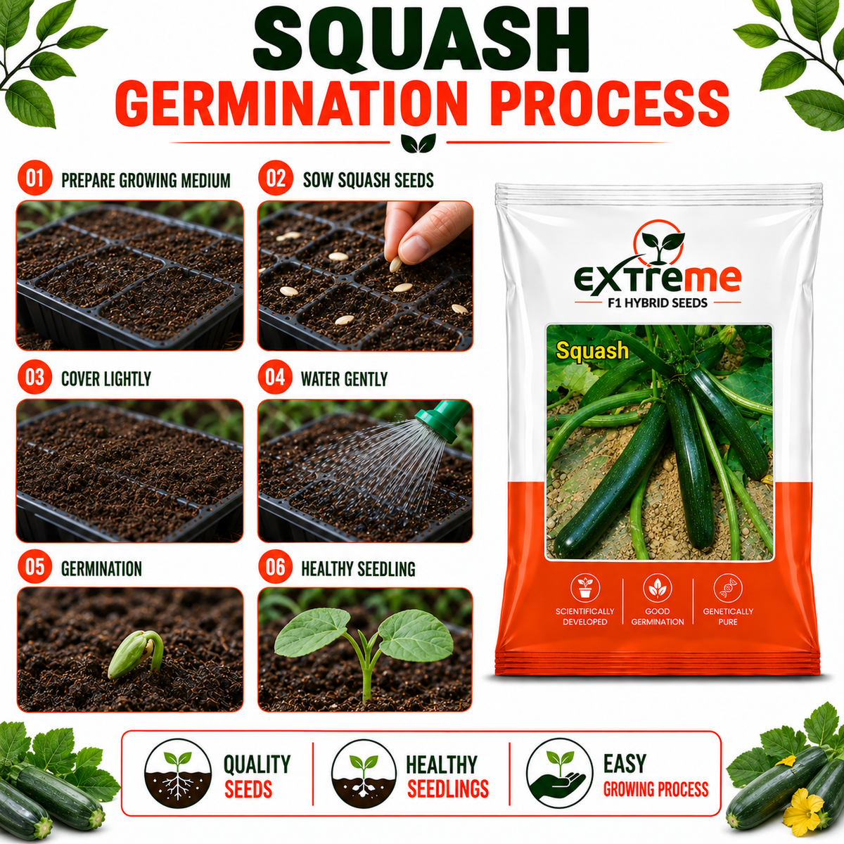 EXTREME F1 Hybrid Zucchini Seeds for Home Garden, Kitchen Garden, Terrace Garden & Outdoor Growing | Premium Zucchini Seeds for Fresh Vegetable Cultivation | 5 GM Pack