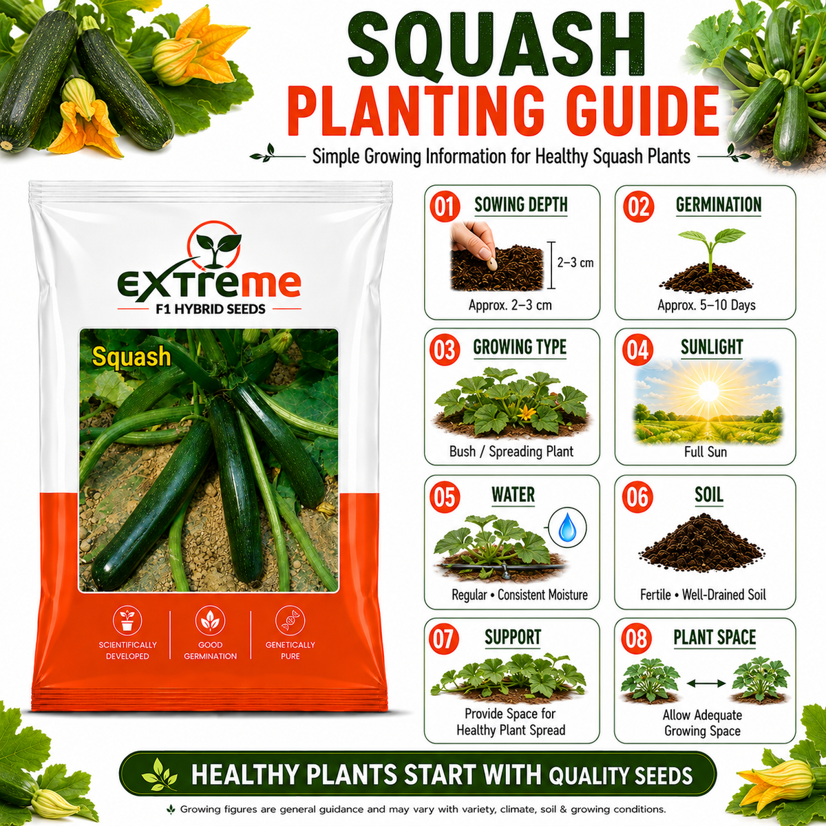 EXTREME F1 Hybrid Zucchini Seeds for Home Garden, Kitchen Garden, Terrace Garden & Outdoor Growing | Premium Zucchini Seeds for Fresh Vegetable Cultivation | 5 GM Pack