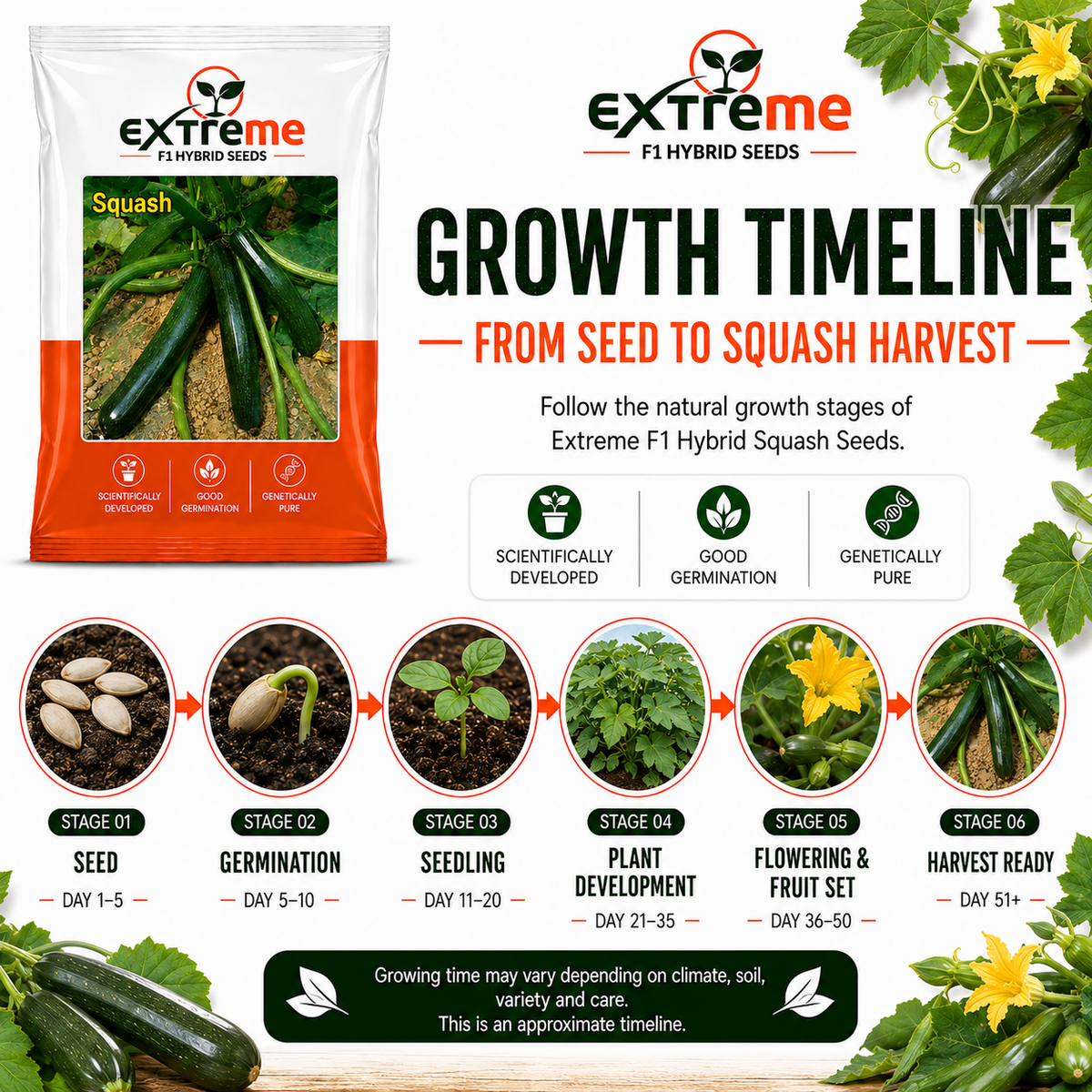 EXTREME F1 Hybrid Zucchini Seeds for Home Garden, Kitchen Garden, Terrace Garden & Outdoor Growing | Premium Zucchini Seeds for Fresh Vegetable Cultivation | 5 GM Pack