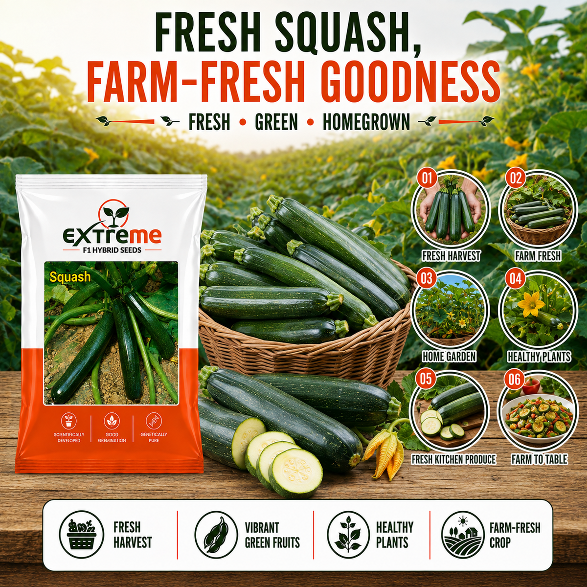 EXTREME F1 Hybrid Zucchini Seeds for Home Garden, Kitchen Garden, Terrace Garden & Outdoor Growing | Premium Zucchini Seeds for Fresh Vegetable Cultivation | 5 GM Pack
