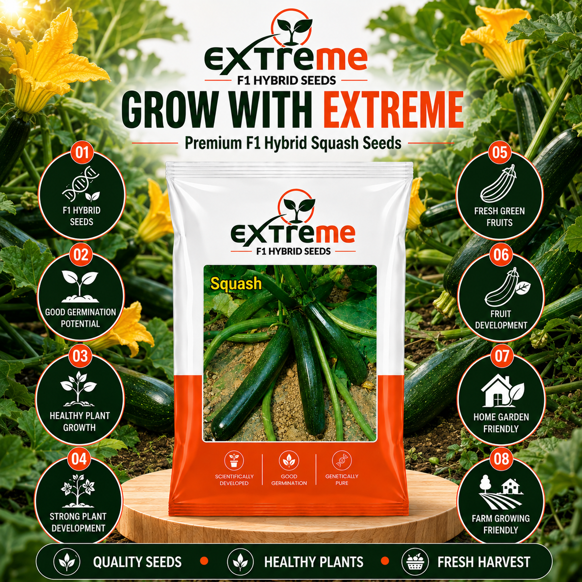 EXTREME F1 Hybrid Zucchini Seeds for Home Garden, Kitchen Garden, Terrace Garden & Outdoor Growing | Premium Zucchini Seeds for Fresh Vegetable Cultivation | 5 GM Pack
