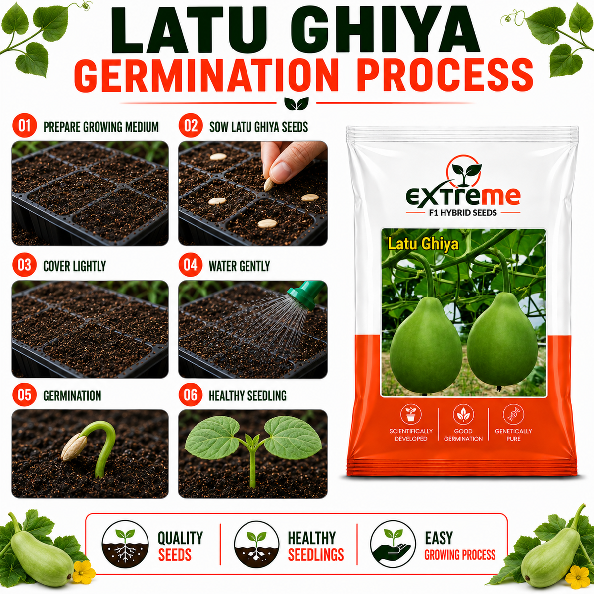 Extreme F1 Hybrid Latu Ghiya Seeds 10 GM | Premium Bottle Gourd Seeds | Lauki Seeds for Home Garden, Kitchen Garden, Terrace Garden, Pots, Grow Bags & Outdoor Farming