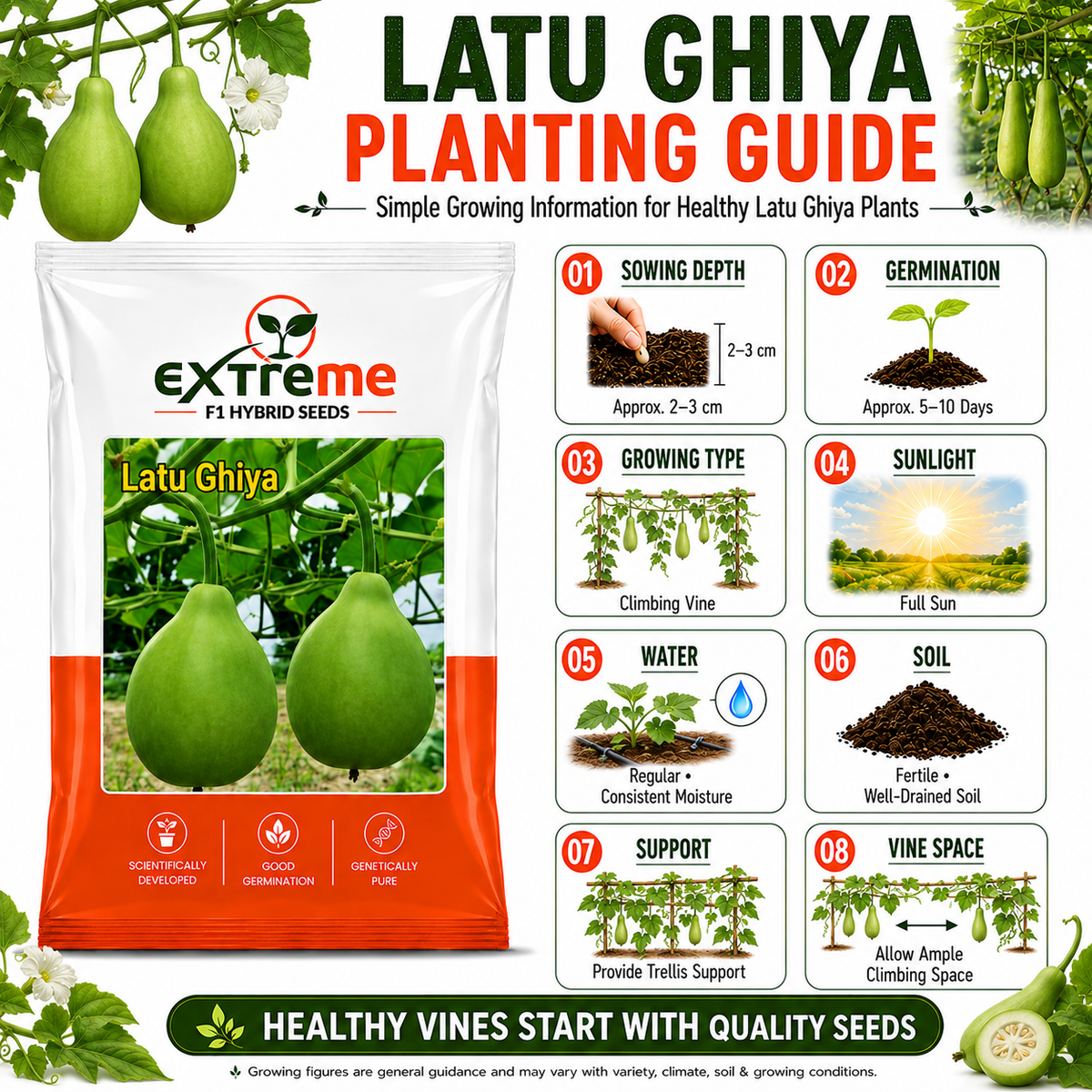 Extreme F1 Hybrid Latu Ghiya Seeds 10 GM | Premium Bottle Gourd Seeds | Lauki Seeds for Home Garden, Kitchen Garden, Terrace Garden, Pots, Grow Bags & Outdoor Farming