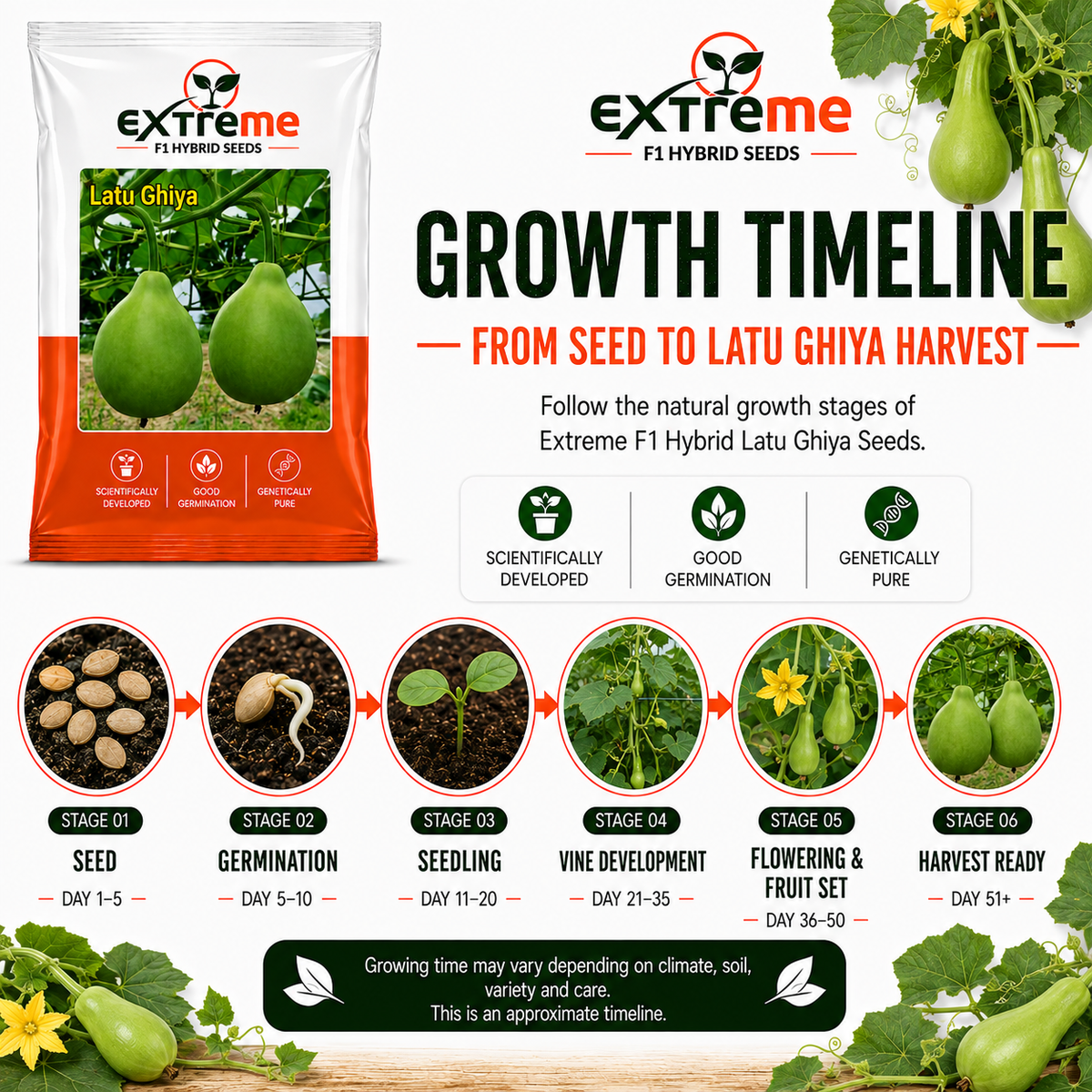 Extreme F1 Hybrid Latu Ghiya Seeds 10 GM | Premium Bottle Gourd Seeds | Lauki Seeds for Home Garden, Kitchen Garden, Terrace Garden, Pots, Grow Bags & Outdoor Farming