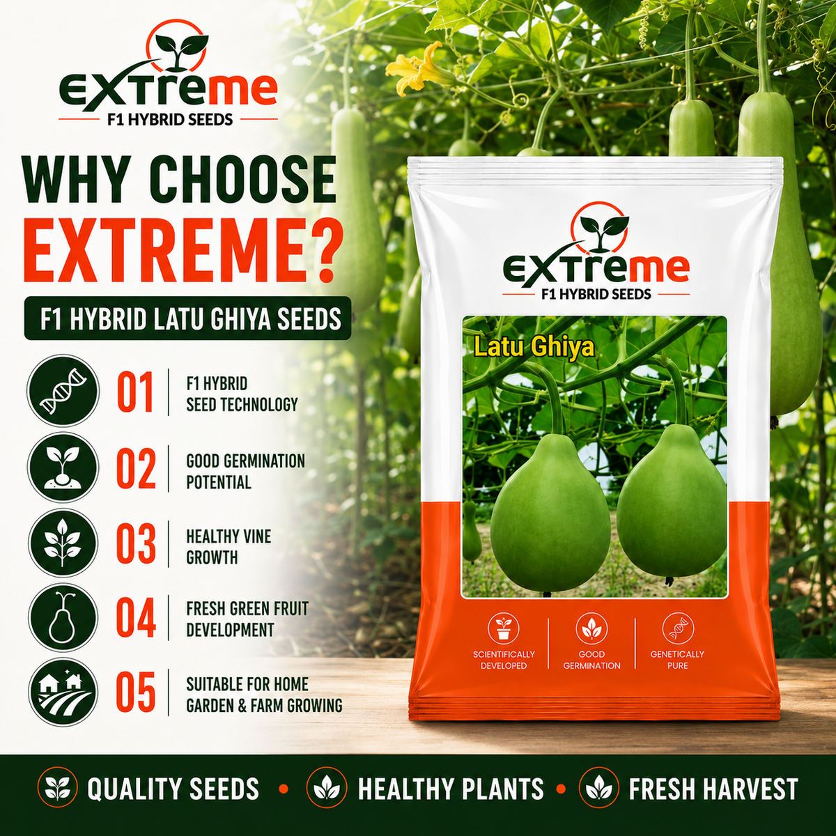 Extreme F1 Hybrid Latu Ghiya Seeds 10 GM | Premium Bottle Gourd Seeds | Lauki Seeds for Home Garden, Kitchen Garden, Terrace Garden, Pots, Grow Bags & Outdoor Farming