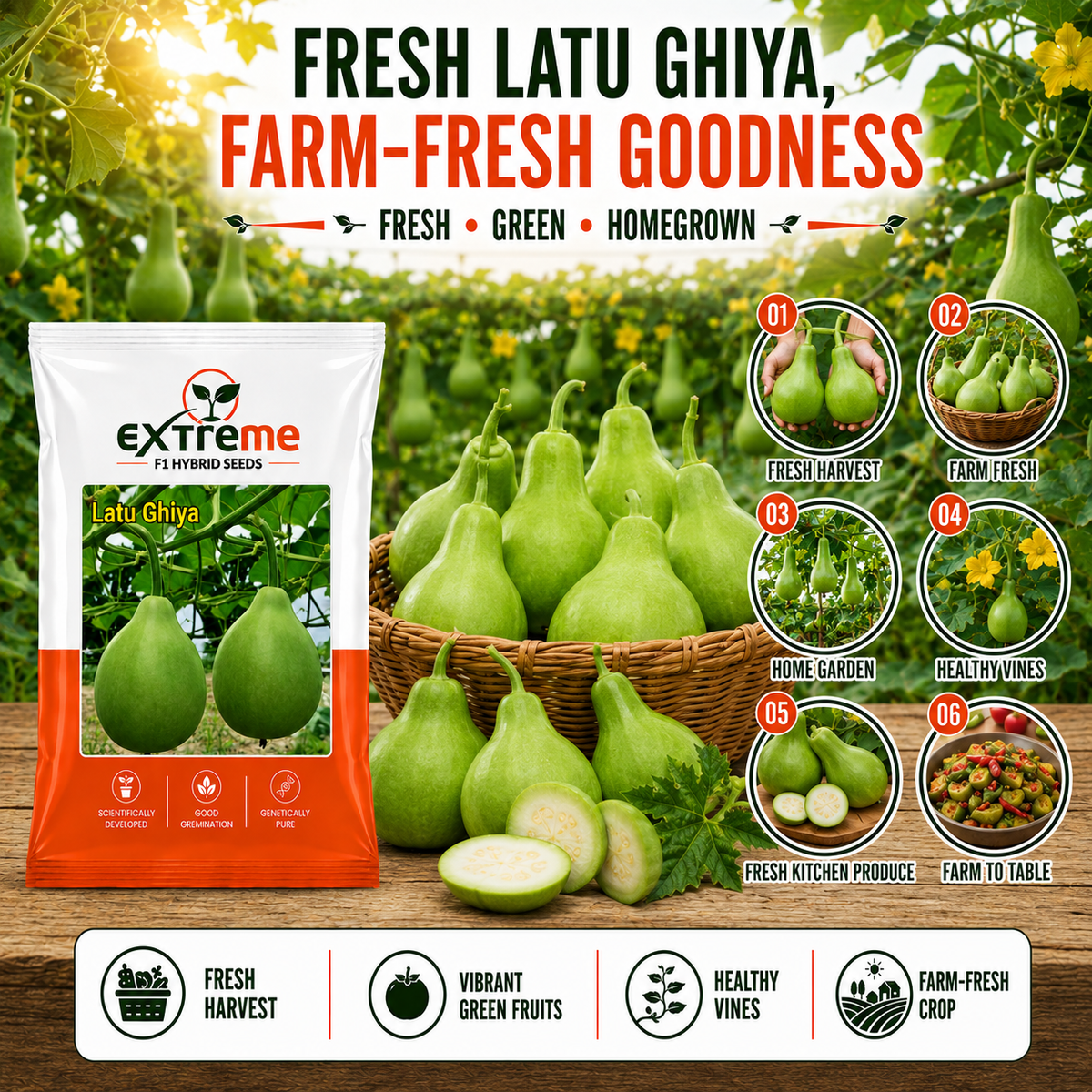 Extreme F1 Hybrid Latu Ghiya Seeds 10 GM | Premium Bottle Gourd Seeds | Lauki Seeds for Home Garden, Kitchen Garden, Terrace Garden, Pots, Grow Bags & Outdoor Farming