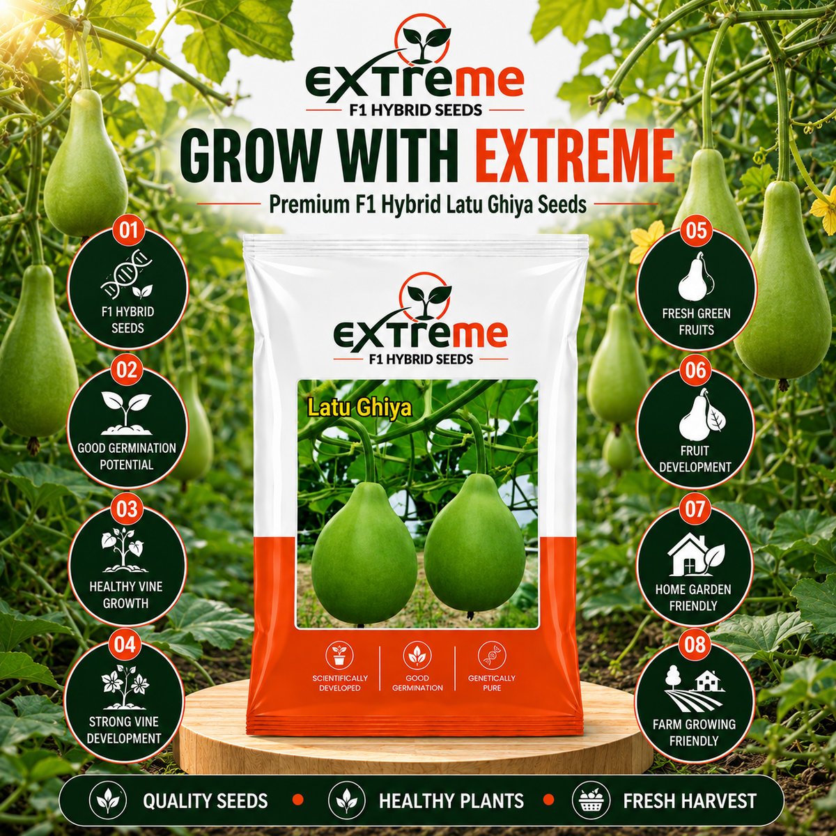 Extreme F1 Hybrid Latu Ghiya Seeds 10 GM | Premium Bottle Gourd Seeds | Lauki Seeds for Home Garden, Kitchen Garden, Terrace Garden, Pots, Grow Bags & Outdoor Farming