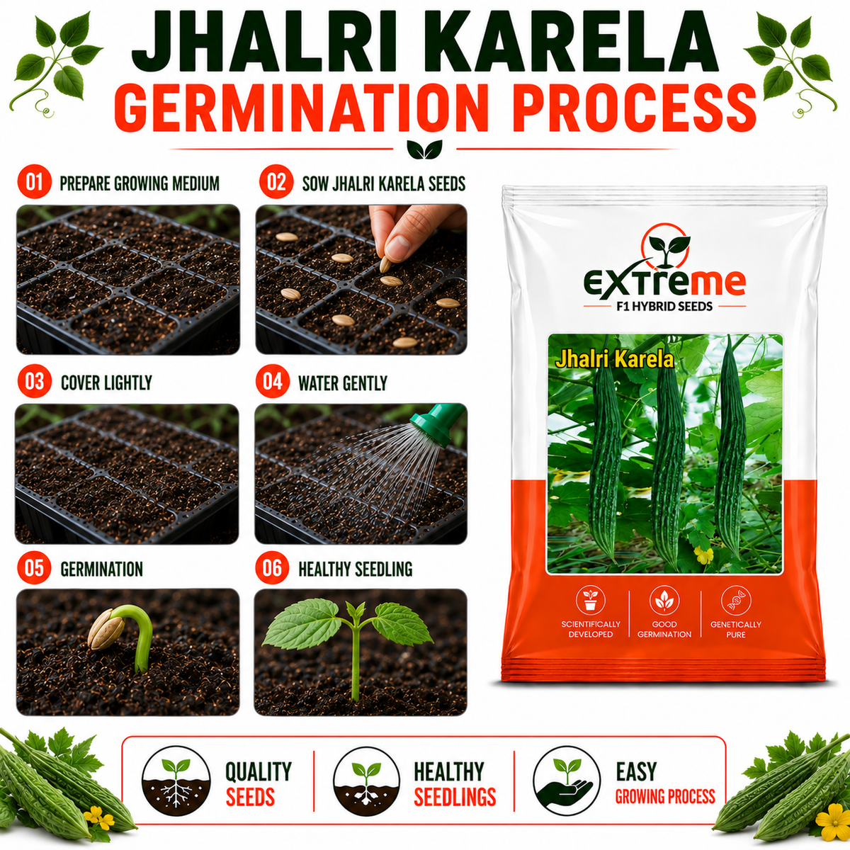 Extreme F1 Hybrid Jhalri Karela Seeds 10 GM | Premium Bitter Gourd Seeds | Long Green Karela Vegetable Seeds for Home Garden, Kitchen Garden, Terrace Garden, Pots, Grow Bags & Outdoor Farming