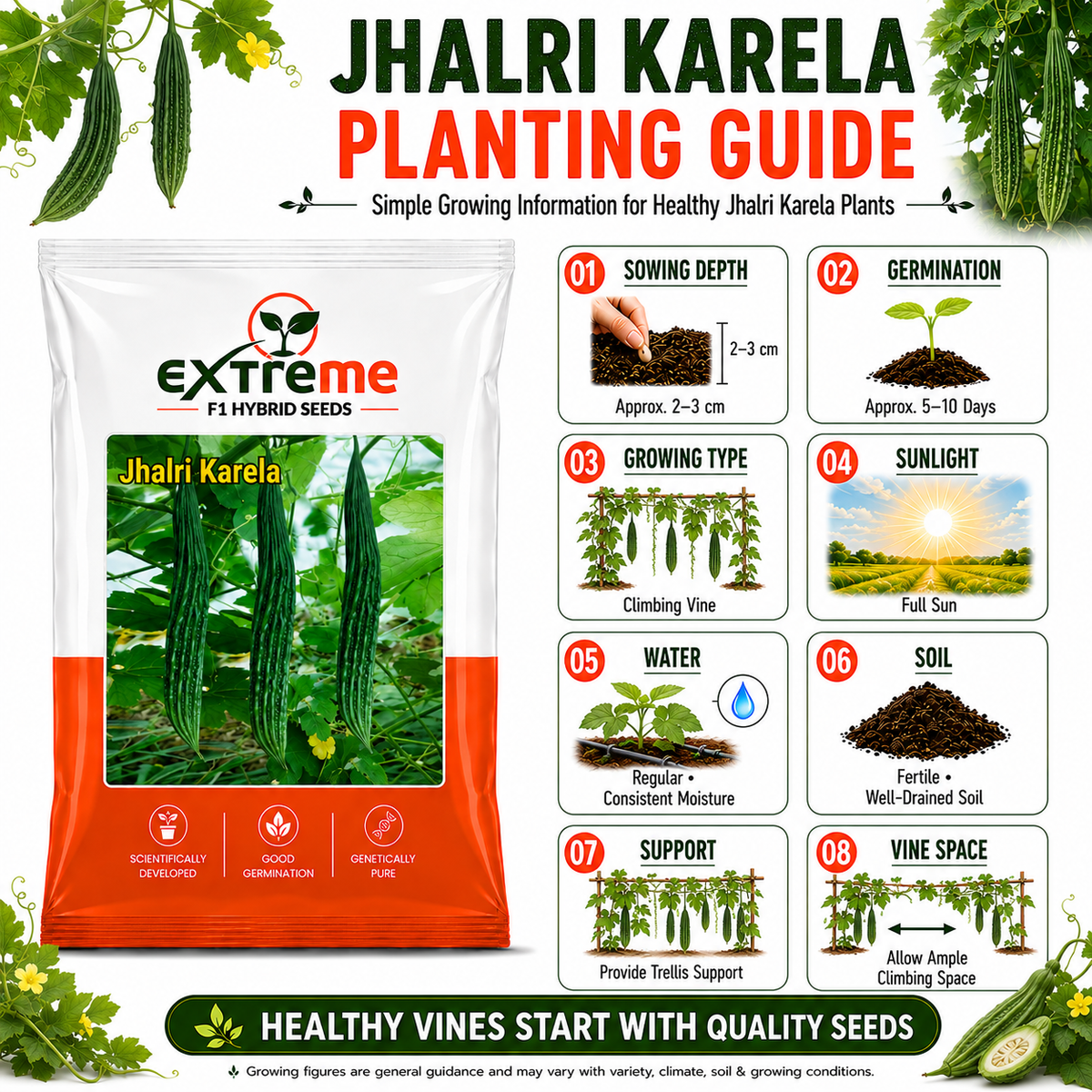 Extreme F1 Hybrid Jhalri Karela Seeds 10 GM | Premium Bitter Gourd Seeds | Long Green Karela Vegetable Seeds for Home Garden, Kitchen Garden, Terrace Garden, Pots, Grow Bags & Outdoor Farming