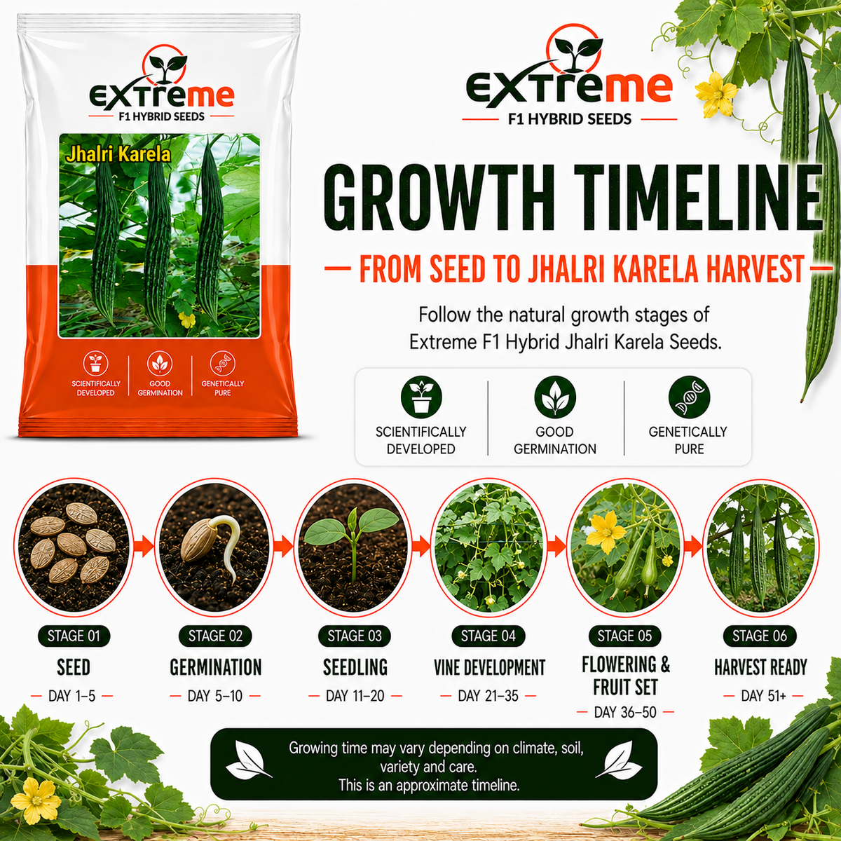 Extreme F1 Hybrid Jhalri Karela Seeds 10 GM | Premium Bitter Gourd Seeds | Long Green Karela Vegetable Seeds for Home Garden, Kitchen Garden, Terrace Garden, Pots, Grow Bags & Outdoor Farming