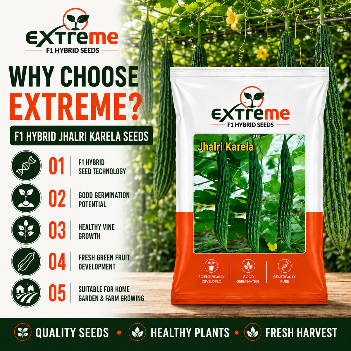 Extreme F1 Hybrid Jhalri Karela Seeds 10 GM | Premium Bitter Gourd Seeds | Long Green Karela Vegetable Seeds for Home Garden, Kitchen Garden, Terrace Garden, Pots, Grow Bags & Outdoor Farming
