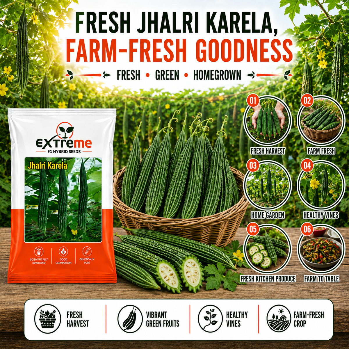 Extreme F1 Hybrid Jhalri Karela Seeds 10 GM | Premium Bitter Gourd Seeds | Long Green Karela Vegetable Seeds for Home Garden, Kitchen Garden, Terrace Garden, Pots, Grow Bags & Outdoor Farming