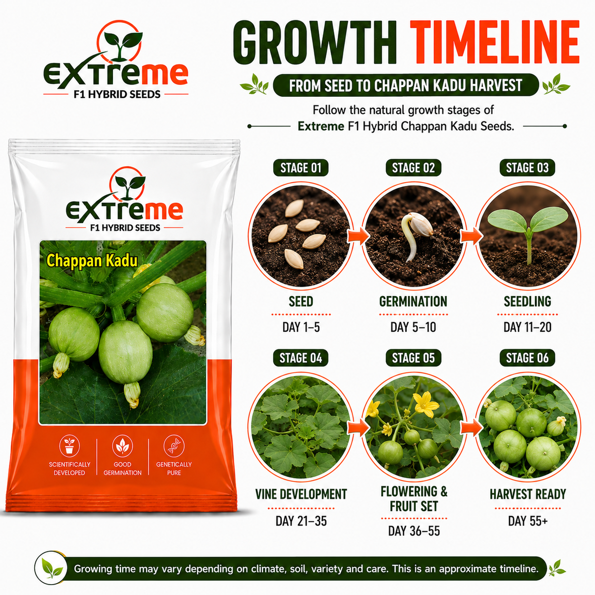 EXTREME F1 Hybrid Chappan Kaddu Seeds for Home Garden, Kitchen Garden, Terrace Garden & Outdoor Growing | Premium Vegetable Seeds for Fresh Chappan Kaddu Cultivation | 5 GM Pack