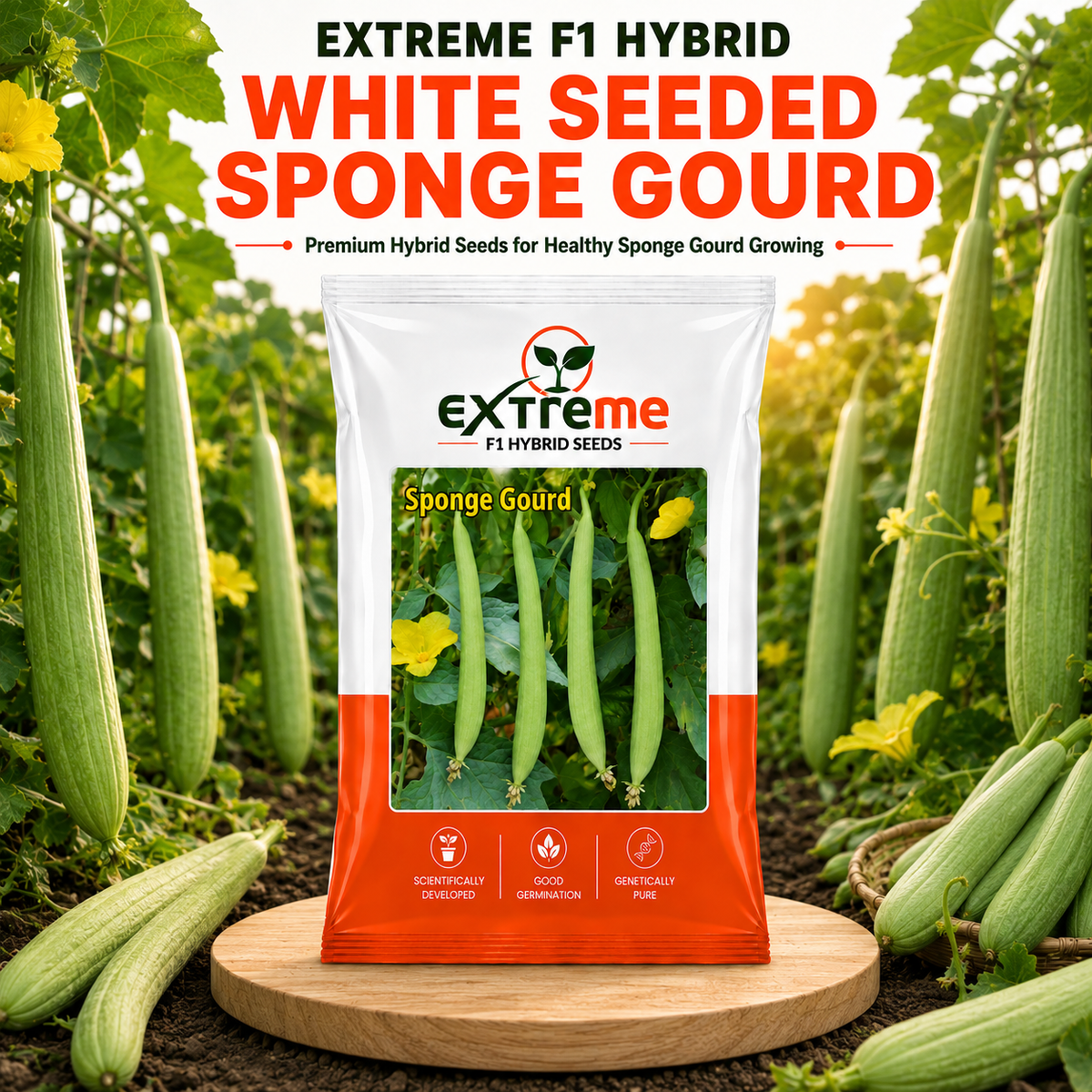 EXTREME F1 Hybrid White Seeded Sponge Gourd Seeds | Safed Tori Seeds for Home Garden, Kitchen Garden, Terrace Garden & Outdoor Farming | Vegetable Seeds | 5 GM