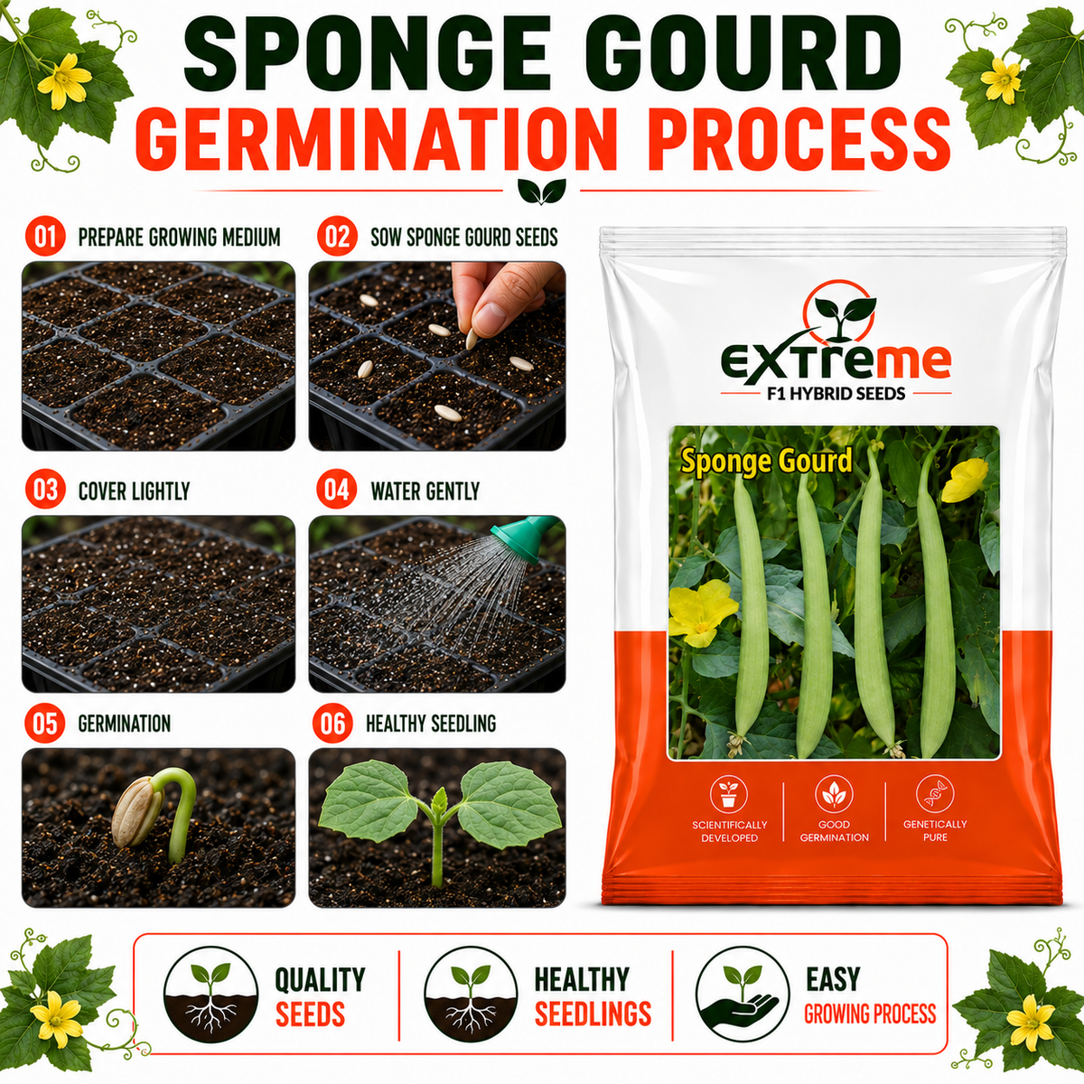 EXTREME F1 Hybrid White Seeded Sponge Gourd Seeds | Safed Tori Seeds for Home Garden, Kitchen Garden, Terrace Garden & Outdoor Farming | Vegetable Seeds | 5 GM