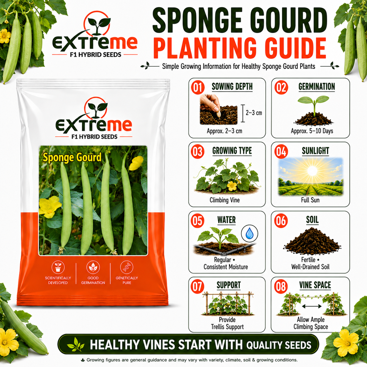 EXTREME F1 Hybrid White Seeded Sponge Gourd Seeds | Safed Tori Seeds for Home Garden, Kitchen Garden, Terrace Garden & Outdoor Farming | Vegetable Seeds | 5 GM