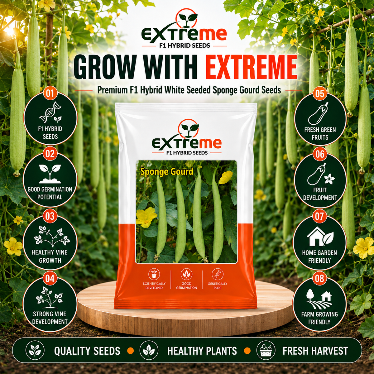 EXTREME F1 Hybrid White Seeded Sponge Gourd Seeds | Safed Tori Seeds for Home Garden, Kitchen Garden, Terrace Garden & Outdoor Farming | Vegetable Seeds | 5 GM