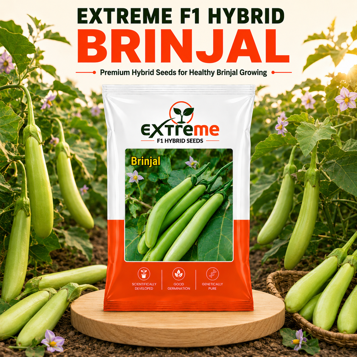 Extreme F1 Hybrid Green Long Brinjal Seeds 1 GM | Premium Green Long Brinjal Seeds | Eggplant Vegetable Seeds for Home Garden, Kitchen Garden, Terrace Garden, Pots, Grow Bags & Outdoor Farming