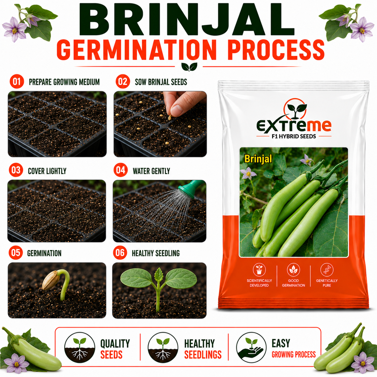 Extreme F1 Hybrid Green Long Brinjal Seeds 1 GM | Premium Green Long Brinjal Seeds | Eggplant Vegetable Seeds for Home Garden, Kitchen Garden, Terrace Garden, Pots, Grow Bags & Outdoor Farming