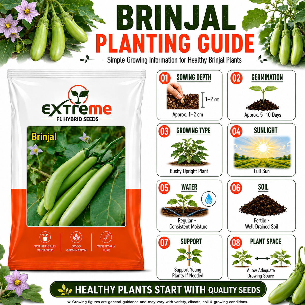 Extreme F1 Hybrid Green Long Brinjal Seeds 1 GM | Premium Green Long Brinjal Seeds | Eggplant Vegetable Seeds for Home Garden, Kitchen Garden, Terrace Garden, Pots, Grow Bags & Outdoor Farming