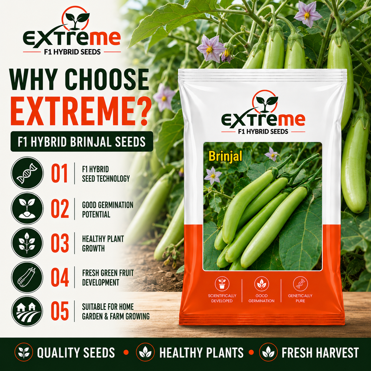 Extreme F1 Hybrid Green Long Brinjal Seeds 1 GM | Premium Green Long Brinjal Seeds | Eggplant Vegetable Seeds for Home Garden, Kitchen Garden, Terrace Garden, Pots, Grow Bags & Outdoor Farming
