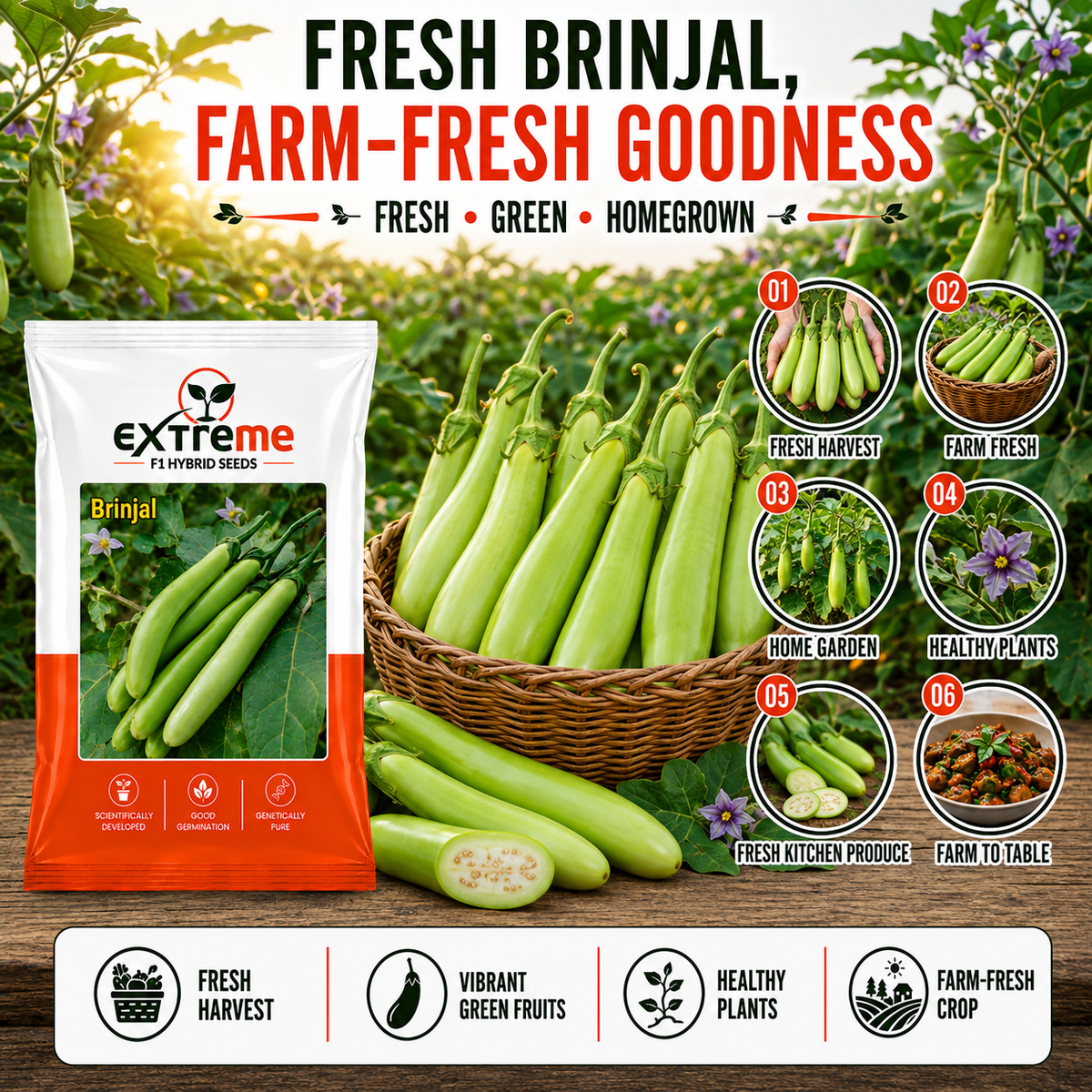 Extreme F1 Hybrid Green Long Brinjal Seeds 1 GM | Premium Green Long Brinjal Seeds | Eggplant Vegetable Seeds for Home Garden, Kitchen Garden, Terrace Garden, Pots, Grow Bags & Outdoor Farming
