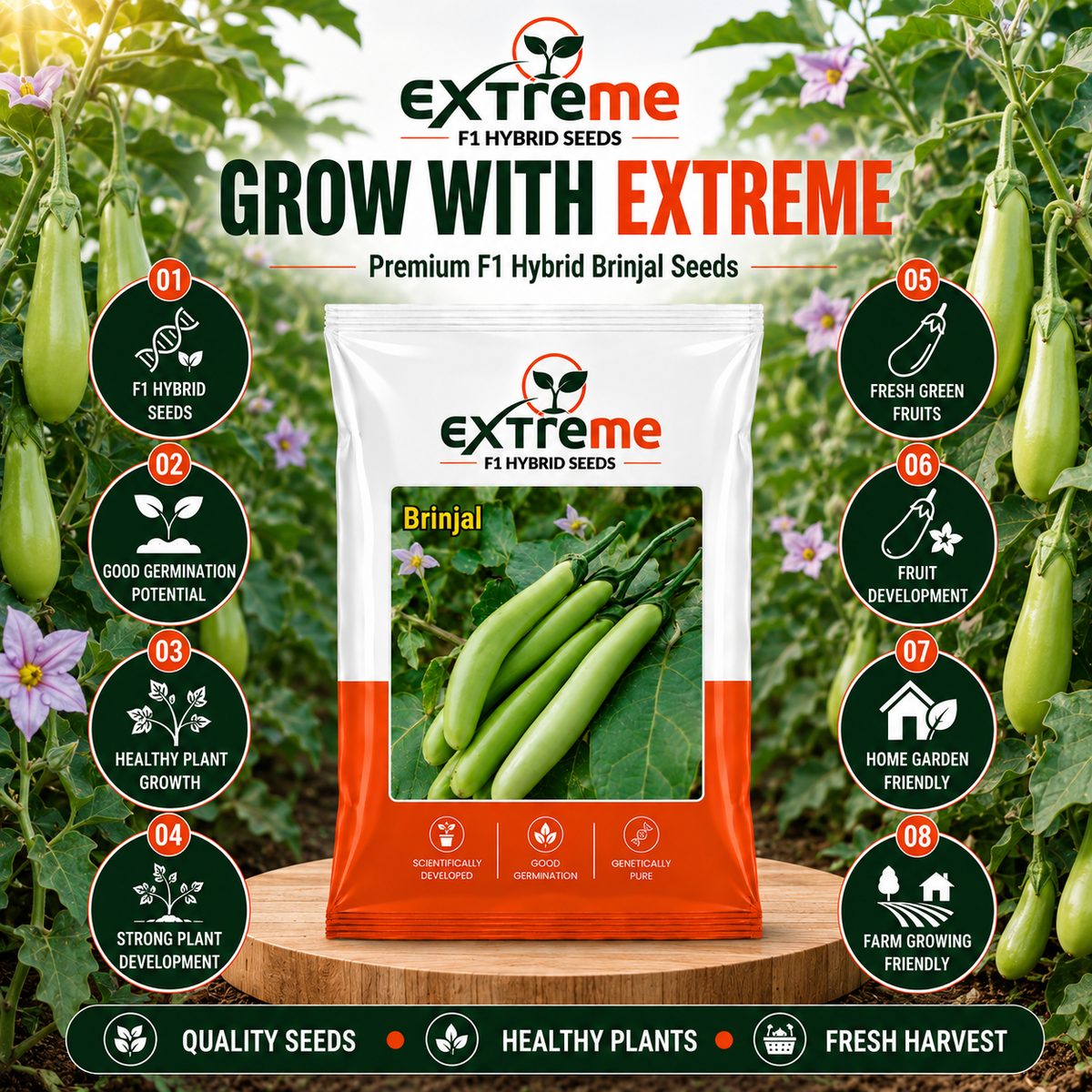 Extreme F1 Hybrid Green Long Brinjal Seeds 1 GM | Premium Green Long Brinjal Seeds | Eggplant Vegetable Seeds for Home Garden, Kitchen Garden, Terrace Garden, Pots, Grow Bags & Outdoor Farming