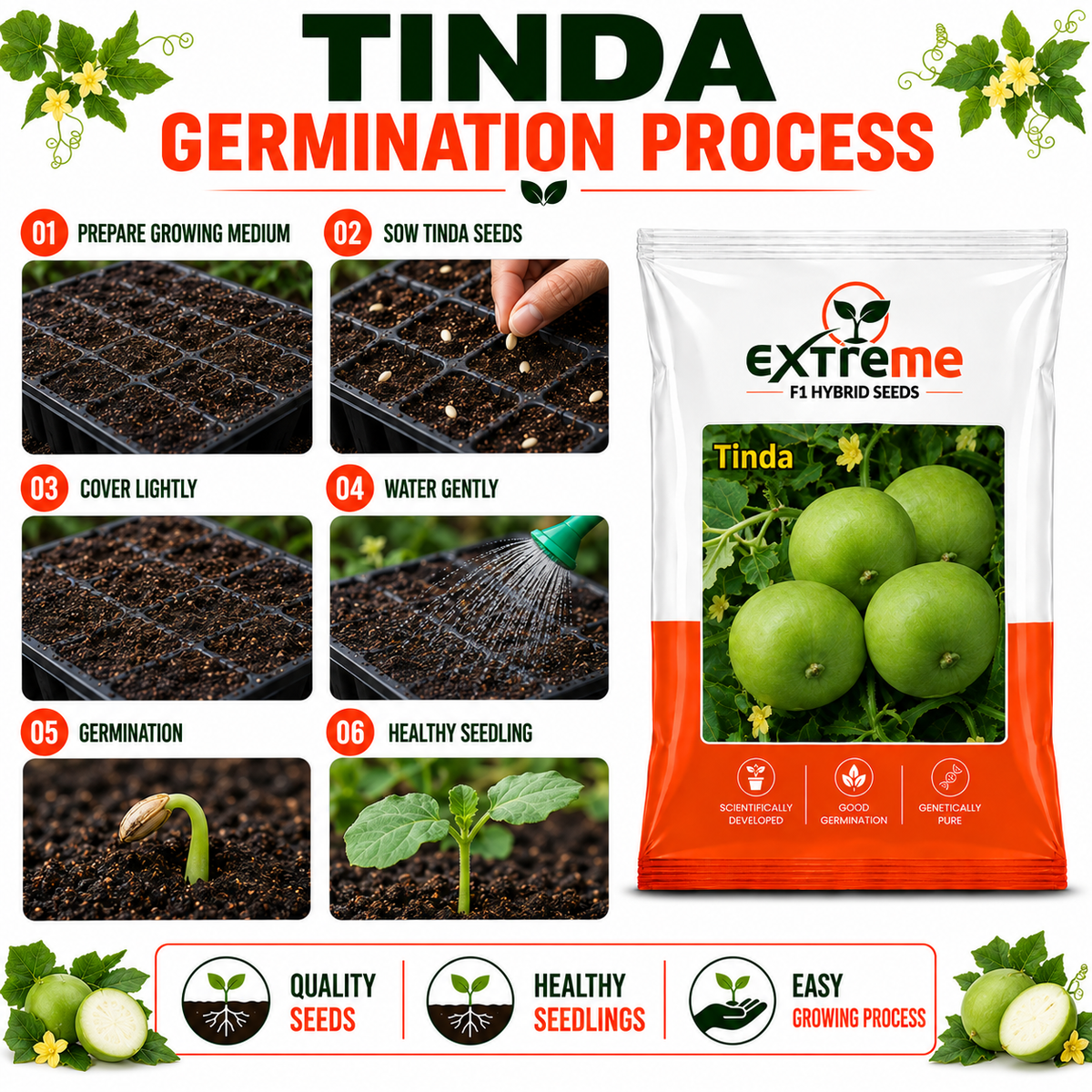 EXTREME F1 Hybrid Tinda Seeds for Home Garden, Kitchen Garden, Terrace Garden & Outdoor Growing | Round Green Vegetable Seeds for Fresh Tinda Cultivation | 15 GM Pack