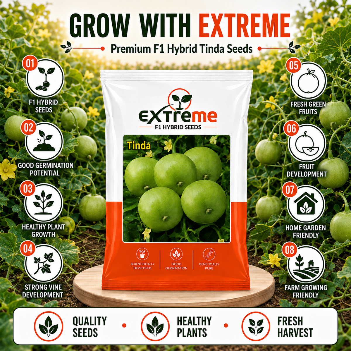 EXTREME F1 Hybrid Tinda Seeds for Home Garden, Kitchen Garden, Terrace Garden & Outdoor Growing | Round Green Vegetable Seeds for Fresh Tinda Cultivation | 15 GM Pack