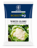 Bioseed Veg F1 Hybrid White Glory Cauliflower Seeds (GOBHI)