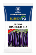 Bioseed Veg F1 Hybrid  Bioseed 613 Long Brinjal Seeds (BENGAN)
