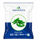 Advanta OP GS 10 Green Peas Seeds (MATAR)
