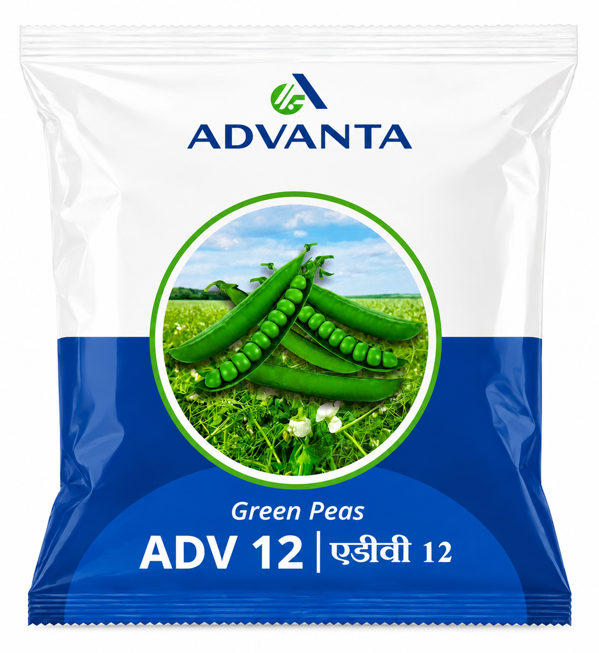 Advanta OP ADV 12 Green Peas Seeds (MATAR)