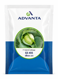 Advanta F1 Hybrid GS 455 Cabbage Seeds (BAND, PATTA GOBHI)