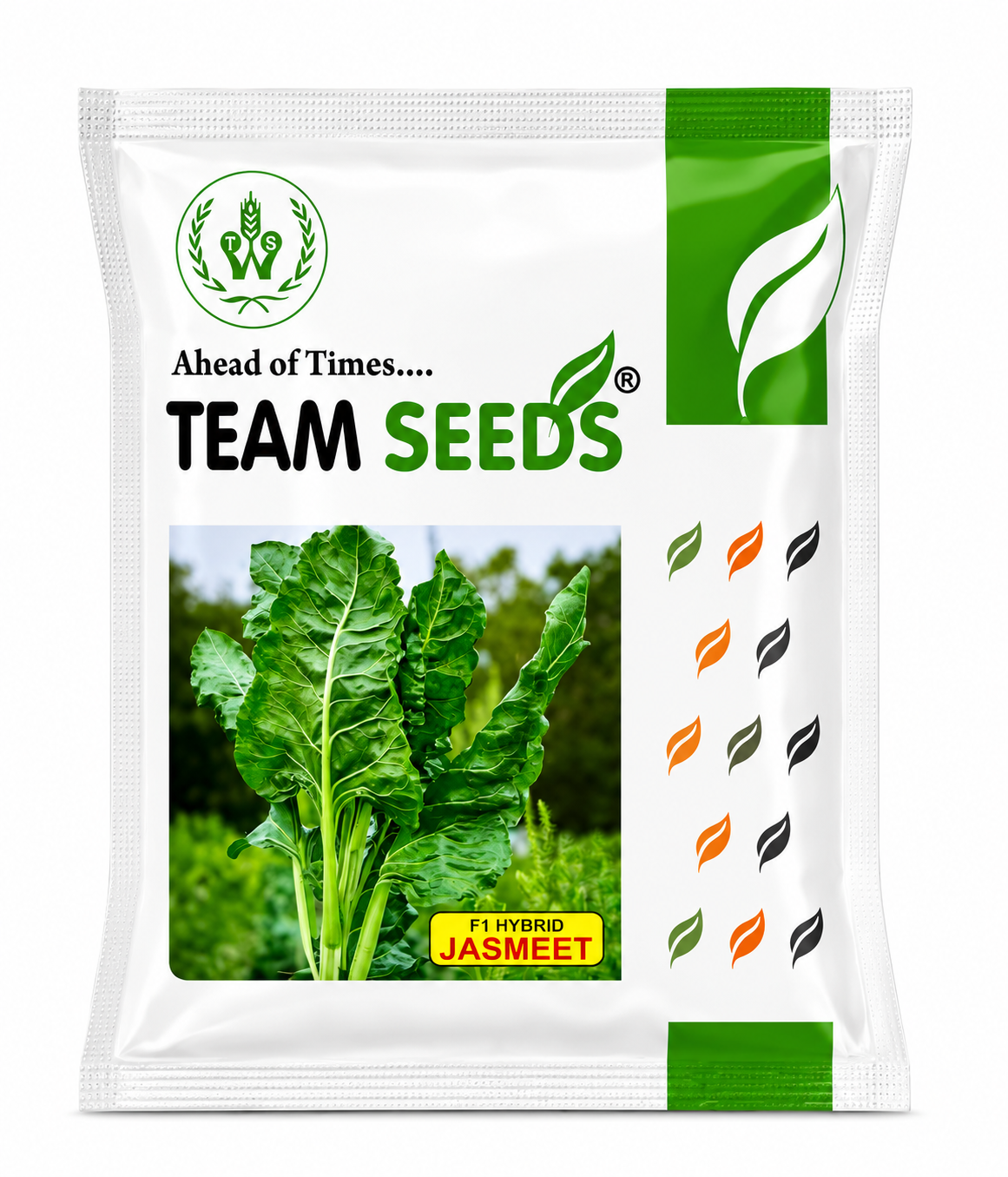 Team Seeds F1 Hybrid Jasmeet Palak Seeds