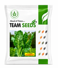 Team Seeds F1 Hybrid Jasmeet Palak Seeds