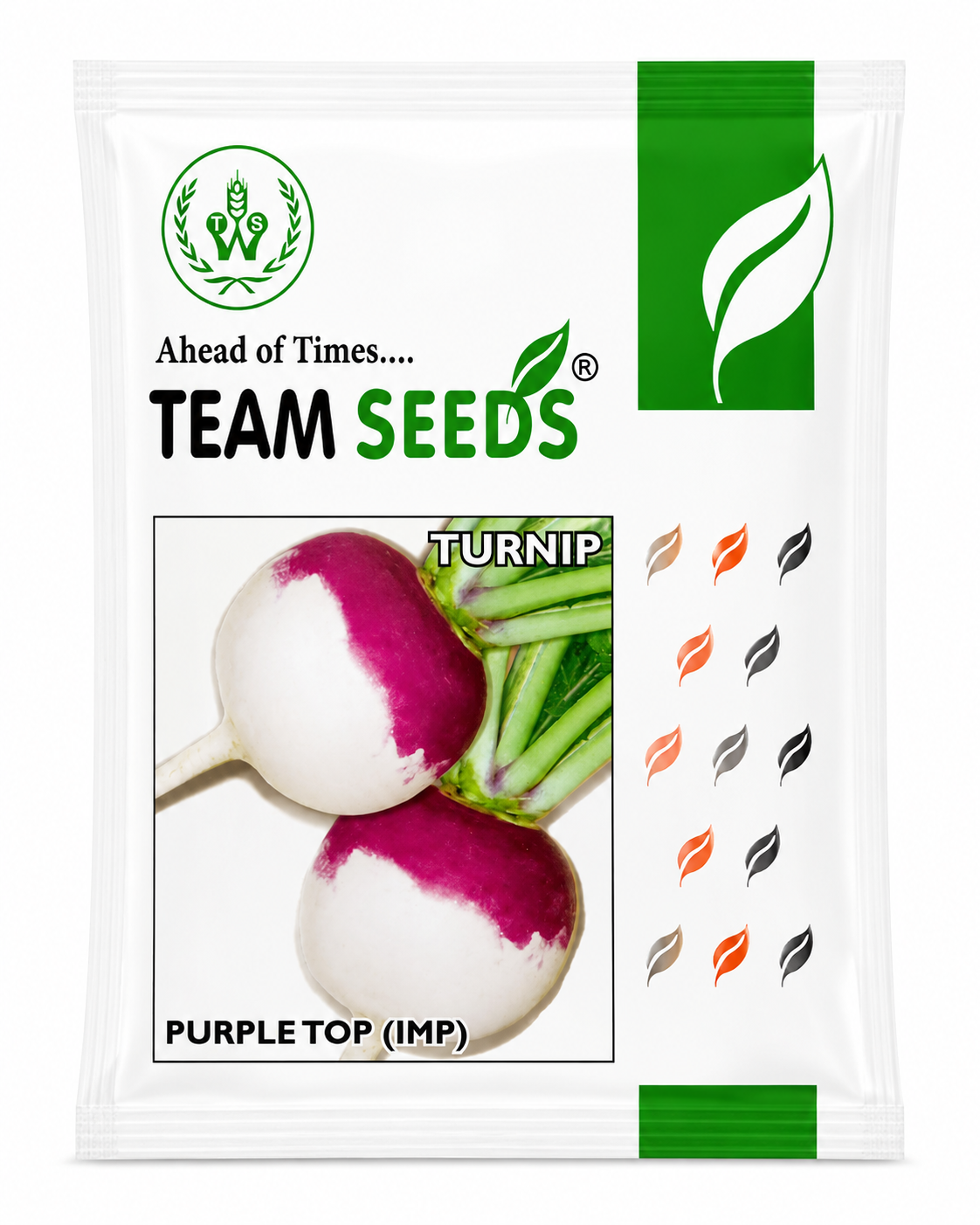 Team Seeds Purple Top (IMP) Turnip Top Seeds (SHALGAM)