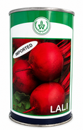 Team Seeds Imported Lali Beet Root Seeds (CHUKANDER)